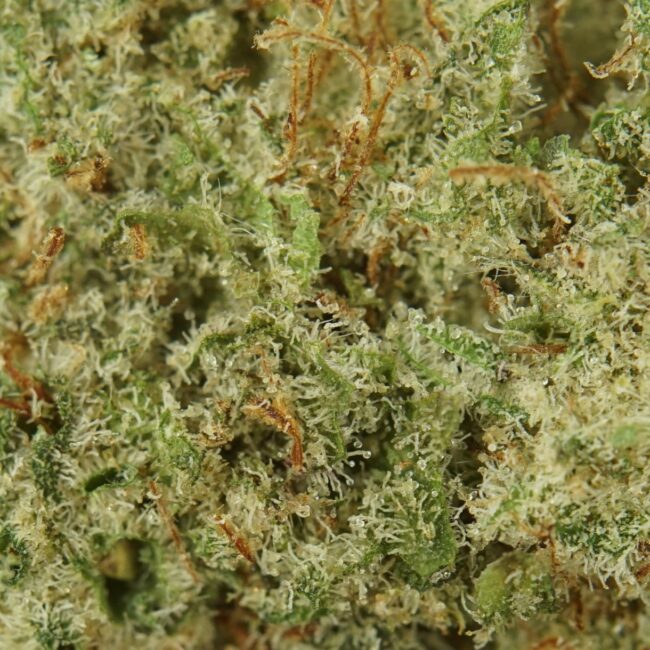 28gr - MAC1 - BALANCED HYBRID - (AAA) - Image 2