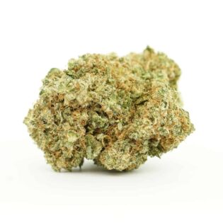 Close-up image of cannabis bud with frosty trichomes on a crisp white background