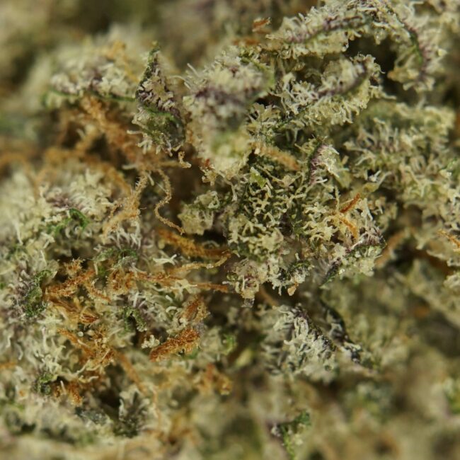 1/2p - PEANUT BUTTER ROCKSTAR (BULK) - INDICA - (AAA) - Image 2