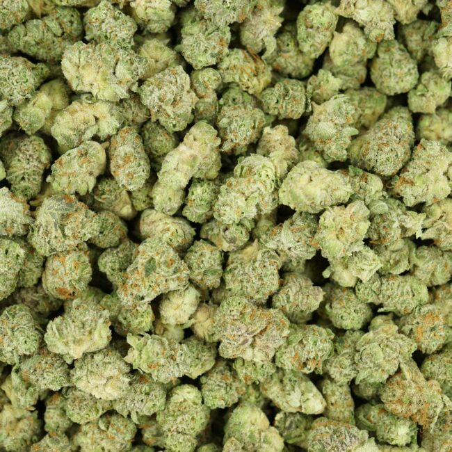 28gr- PLATINUM KUSH BREATH (MICROS) - INDICA - (AAA) - Image 3