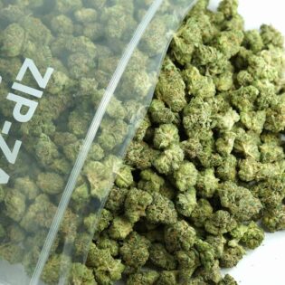 1/2p - PINE TAR KUSH (SMALLS) (BULK) - INDICA - (AAA)