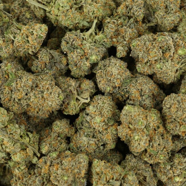 28gr - PURPLE HAZE - SATIVA - (AAA) - Image 3