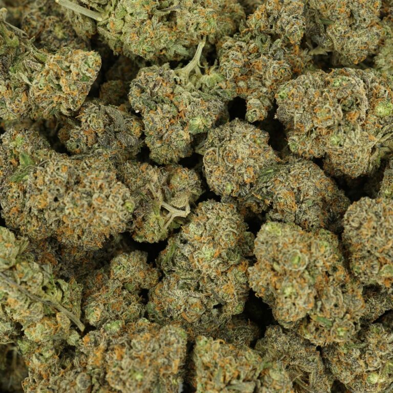 pp purp m