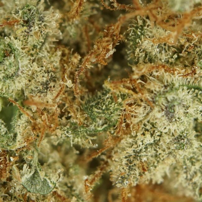 28gr - STRAWBERRY ICE - INDICA - (AAA) - Image 2