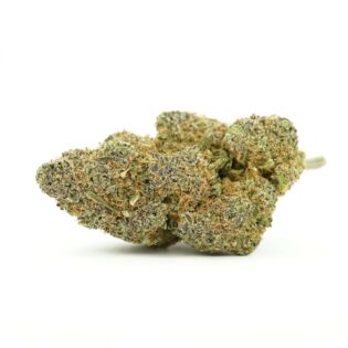 Blackberry Indica