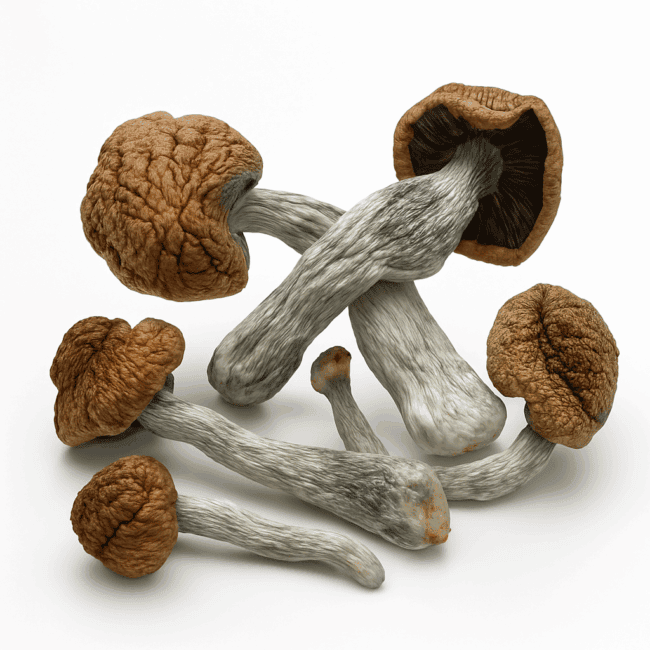 Frosted Melon Gelato