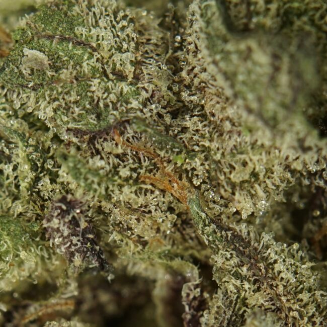28gr - PINK BERRY (SMALLS) - INDICA - (AAA) - Image 2