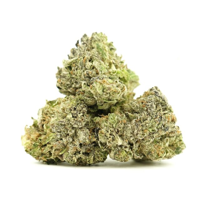 AAA Indica