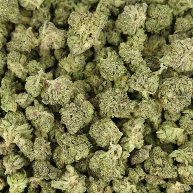 AAA Hybrid Flower
