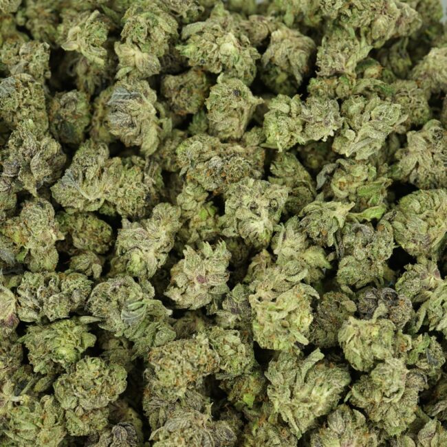 28gr - ROCKSTAR PLATINUM (SMALLS) - INDICA - (AAA) - Image 3
