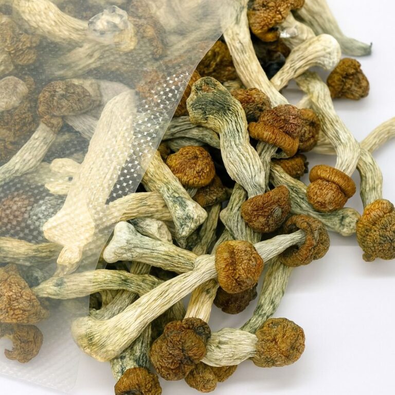 Mimosa Honey Oil