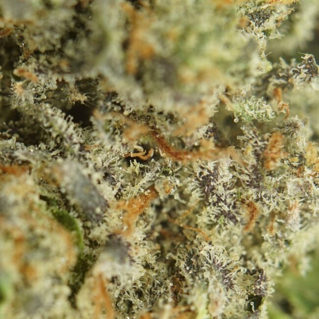 28gr - DEATH BUBBA - INDICA - (AAA) - Image 2