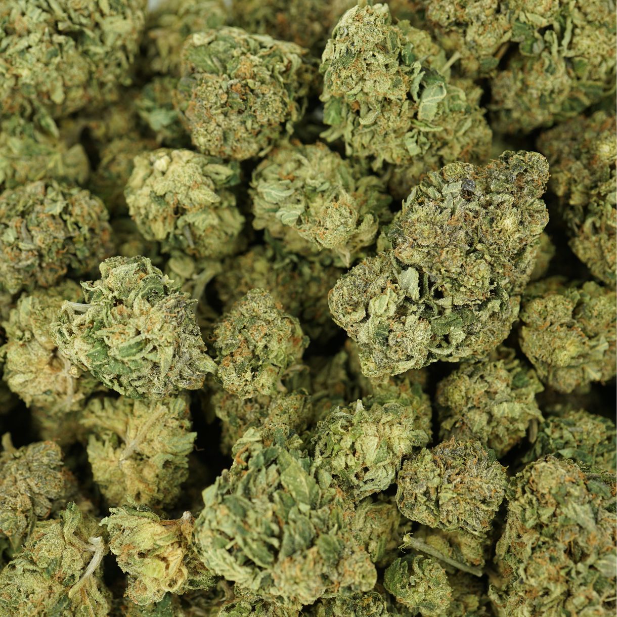 28gr - LINDSAY OG - INDICA - (AAA) - Image 3