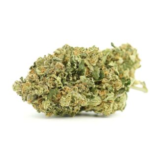 Lindsay OG cannabis bud — dense Indica-dominant hybrid flower from OG Kush lineage, frosty trichomes with orange pistils, bulk cannabis strain
