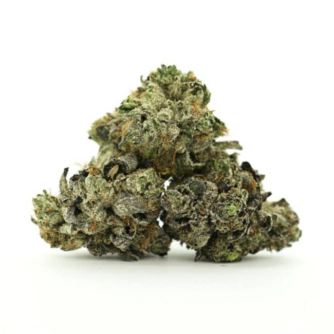 pp master pink smalls 2