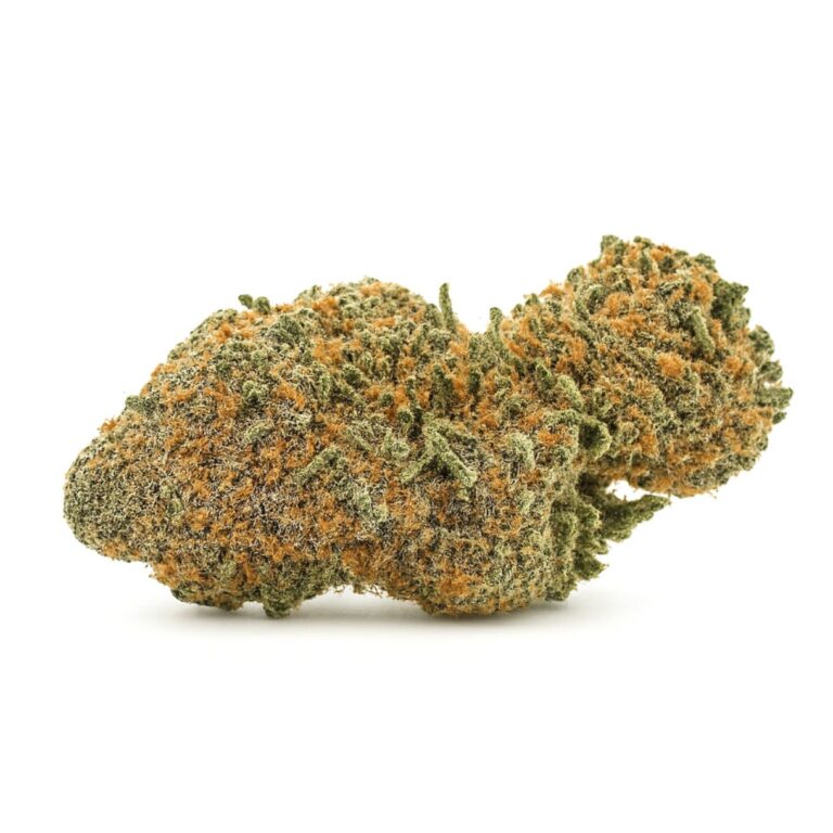 pp mimosa final