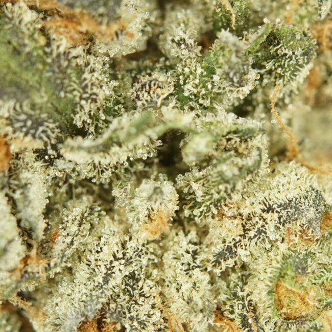 1/2p - OREOZ (BULK) - INDICA - (AAA) - Image 2