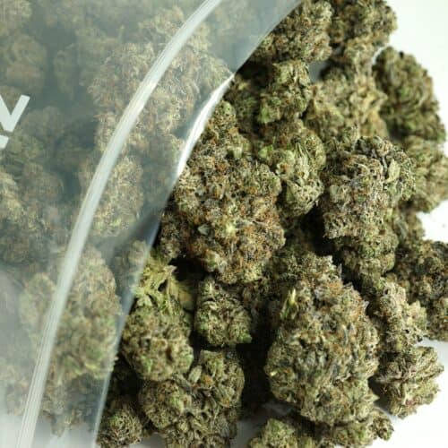 1/2p - PINK COOKIES (BULK) - INDICA - (AAAA)