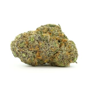 Orange Cookies Indica