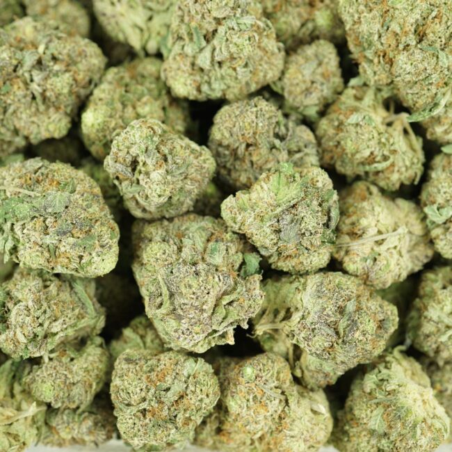 AAA Indica Hybrid