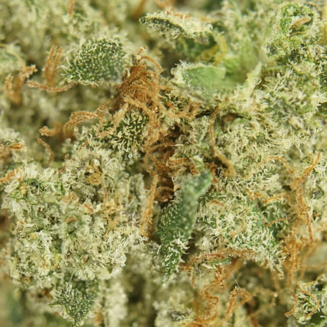 Indica Flower Relief