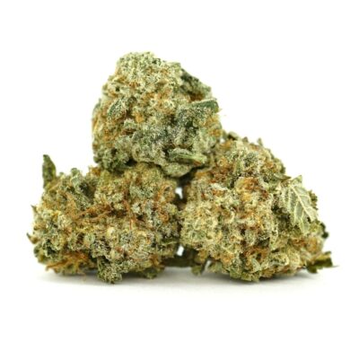 Permanent Marker cannabis buds — dense Indica-dominant hybrid flower with frosty trichomes and orange pistils, premium bulk cannabis strain