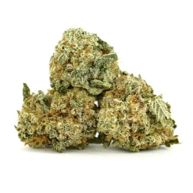 Permanent Marker cannabis buds — dense Indica-dominant hybrid flower with frosty trichomes and orange pistils, premium bulk cannabis strain