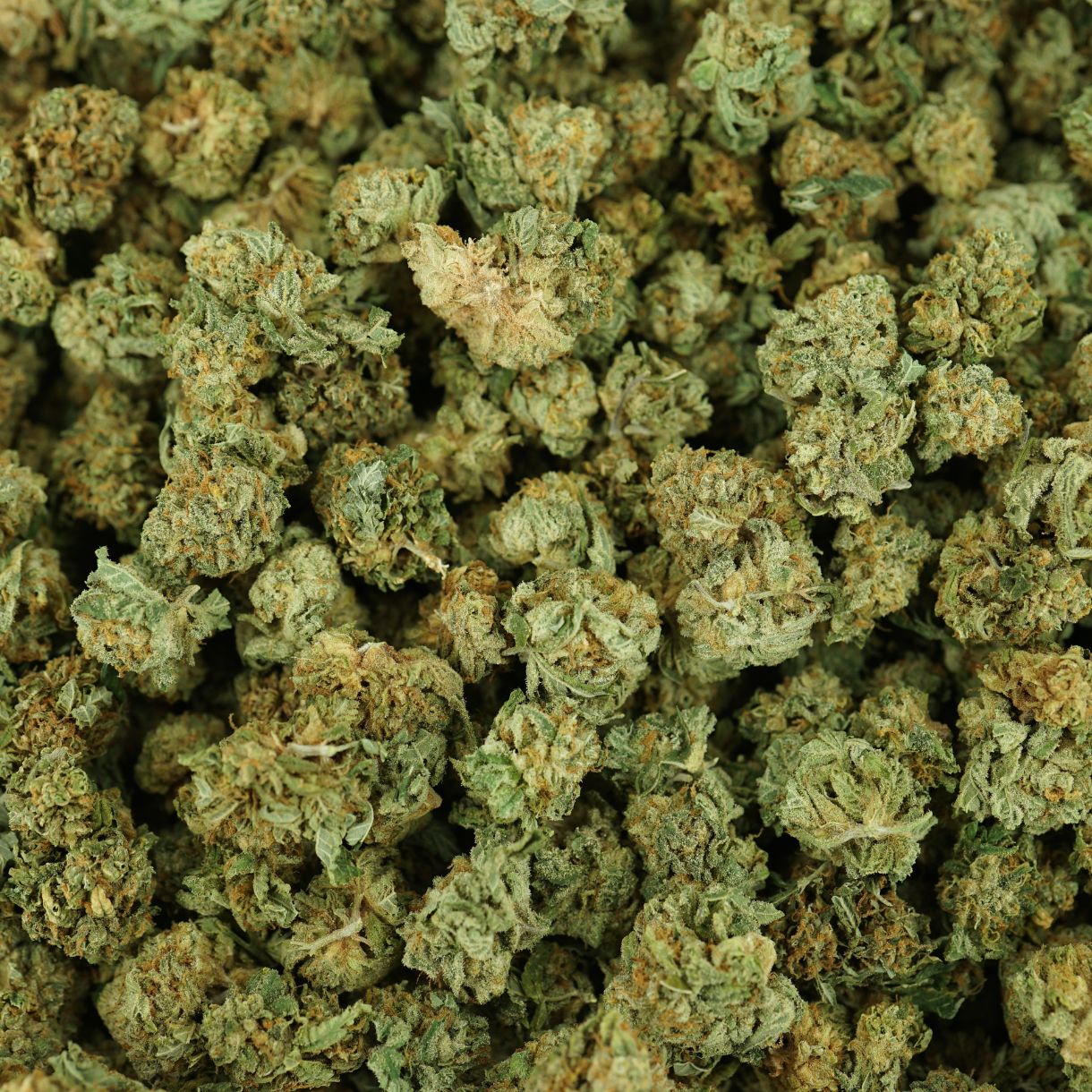 28gr - PERMANENT MARKER (SMALLS) - INDICA - (AAA) - Image 2