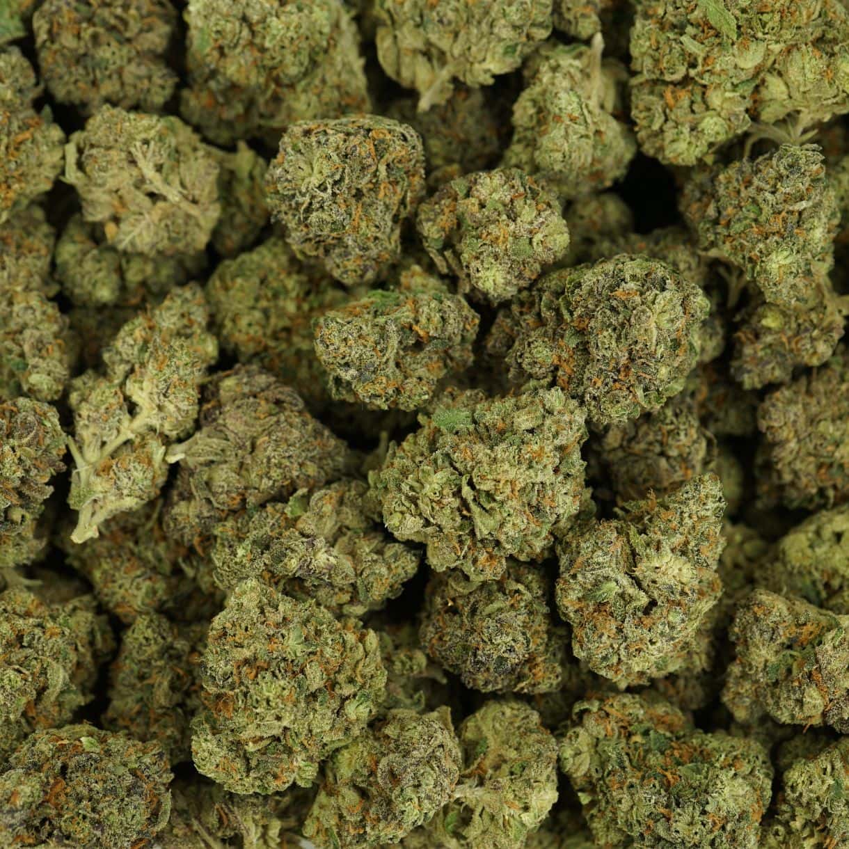 28gr - STRAWBERRY STARDUST - INDICA - (AAA) - Image 3