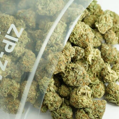 Bulk cannabis buds in clear zip bag — dense green nugs with orange pistils, premium wholesale cannabis flower