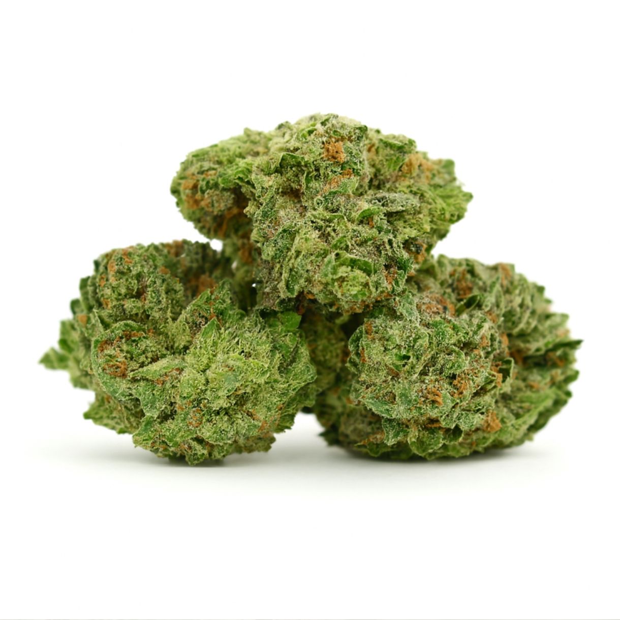 Frozen Pines cannabis flower 28gr jar, Frozen Pines balanced hybrid buds, Frozen Pines AAA cannabis flower close-up