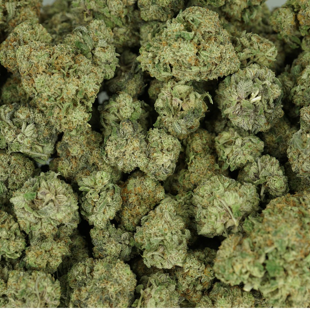 28gr - FRUITOPIA - INDICA - (AAA) - Image 3