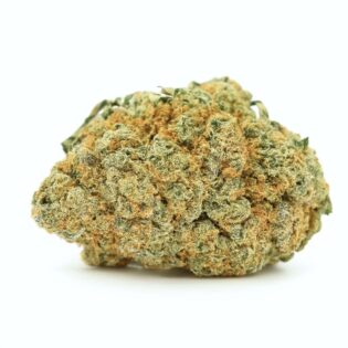 28gr - GOD'S PLATINUM GLUE - INDICA - (AAA)