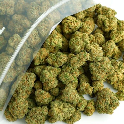 1/2p - GOD'S PLATINUM GLUE (BULK) - INDICA - (AAA)