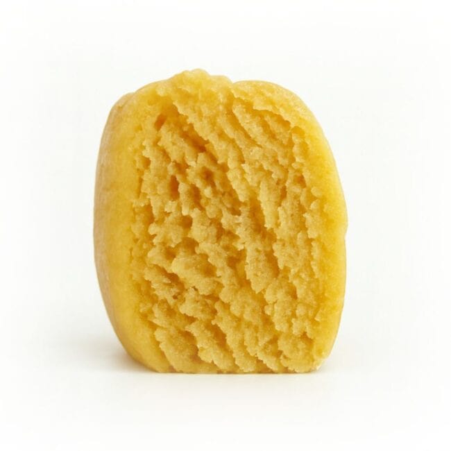 pp p fruz 2