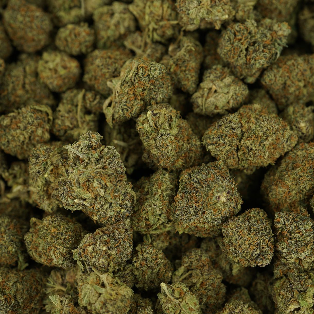 28gr - PUNCH BREATH - INDICA - (AA) - Image 3
