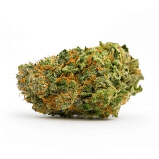 cannabis bud on a crisp white background, showcasing vibrant green hues, orange pistils, and frosty trichomes in sharp focus.