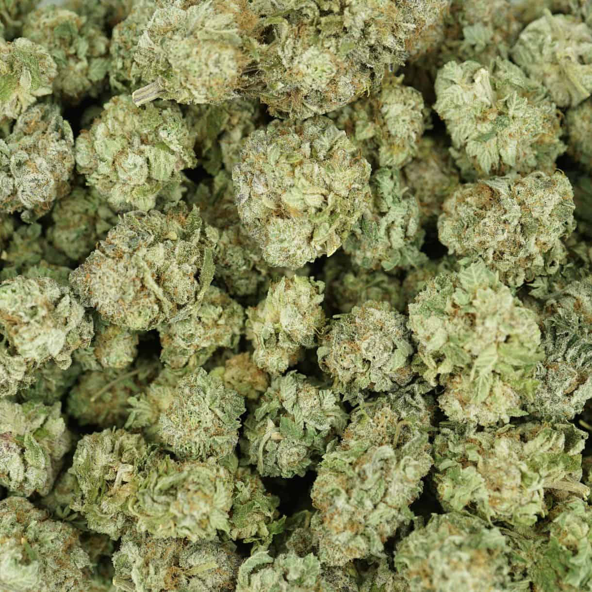 28gr - ZOMBIE KUSH - INDICA - (AAA) - Image 3