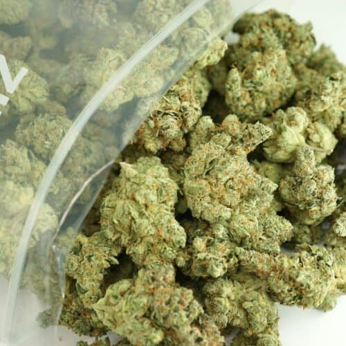 1/2p - 91 PUNCH (BULK) - BALANCED HYBRID - (AAAA)