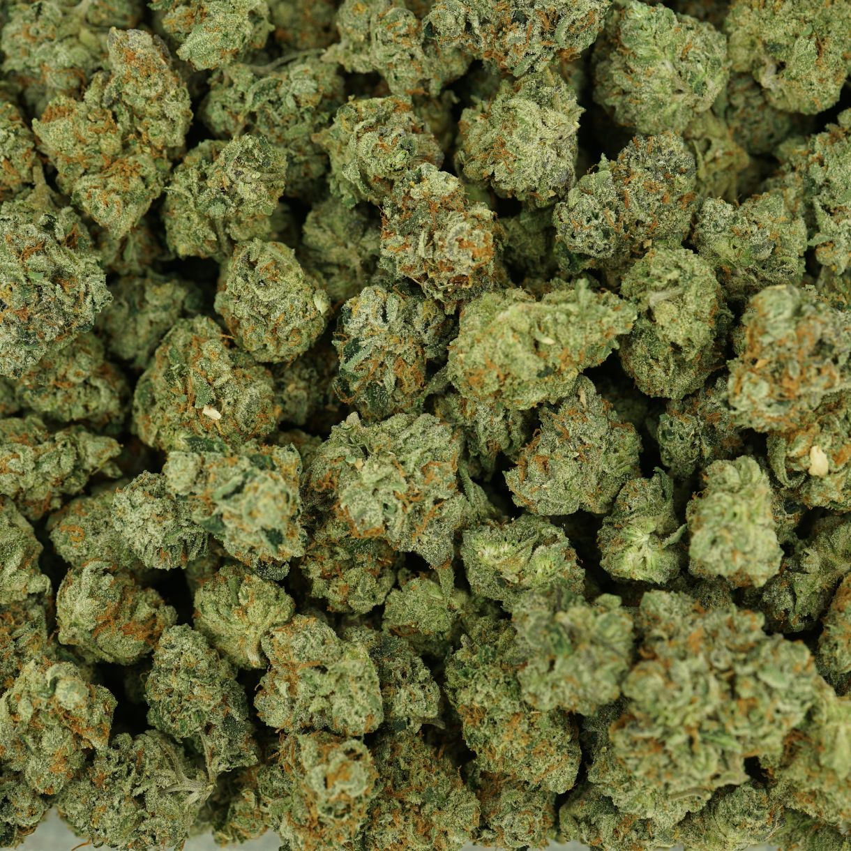 28gr - CRANEBOW (SMALLS) - SATIVA - (AAAA) - Image 3