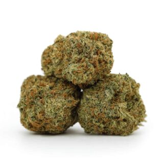 Close-up of premium cannabis buds with dense trichomes and orange pistils on a white background