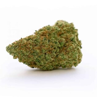 cannabis bud on a crisp white background, showcasing dense green structure, vibrant orange pistils, and frosty trichomes with balanced lighting and realistic color depth.
