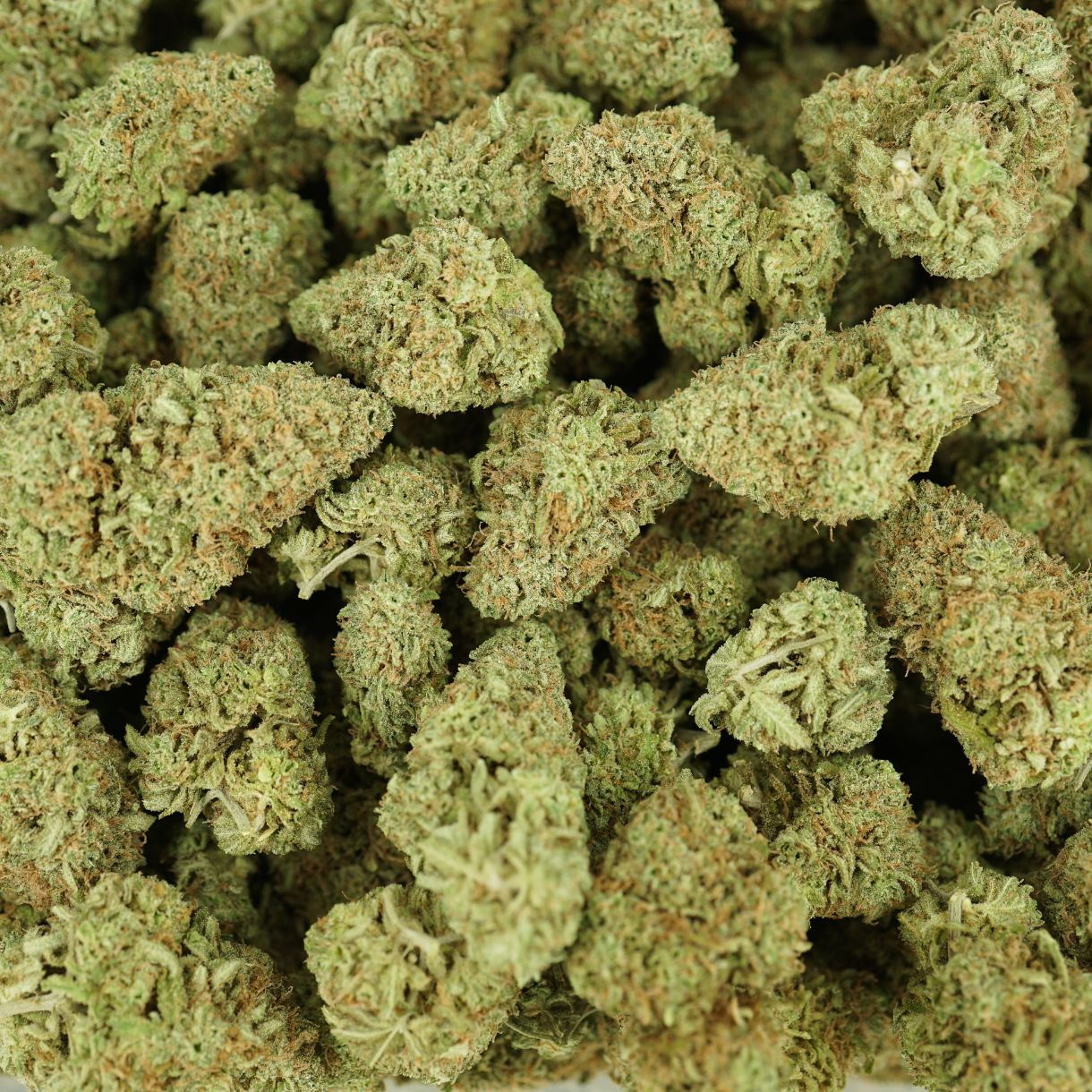 28gr - SUPER SKUNK - INDICA - (AAA) - Image 3