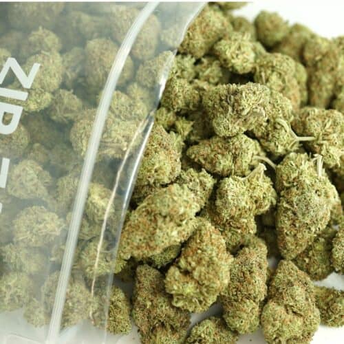 High-quality image of cannabis buds spilling from a clear resealable bag onto a white surface, showcasing dense green nugs with orange pistils and frosty trichomes in sharp focus.