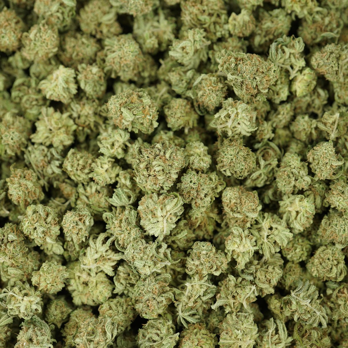 28gr - SUPER SKUNK (SMALLS) - INDICA - (AAA) - Image 3