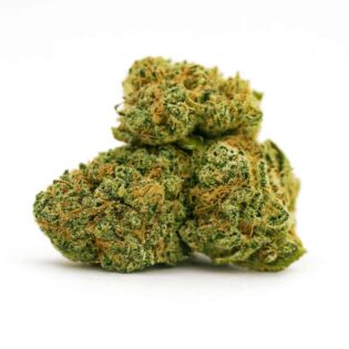 High-resolution image of dense cannabis buds on a crisp white background, showcasing trichome coverage, orange pistils, and natural green tones with balanced lighting and sharp detail.