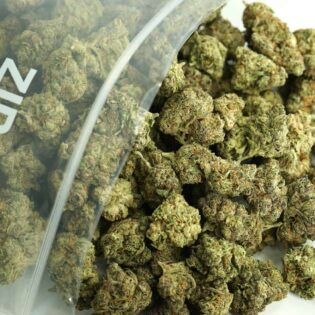 Top-down view of multiple cannabis buds spilling out of a clear resealable bag, showcasing dense green nugs with orange pistils and frosty trichomes against a neutral background.