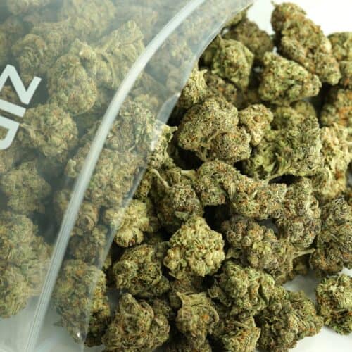 Top-down view of multiple cannabis buds spilling out of a clear resealable bag, showcasing dense green nugs with orange pistils and frosty trichomes against a neutral background.