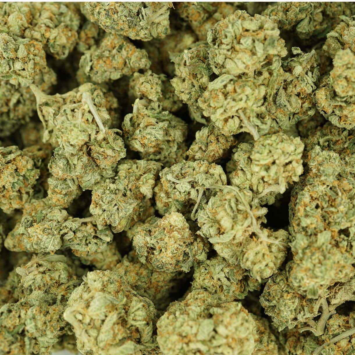 28gr - CHOCOLOPE - SATIVA - (AAA) - Image 3