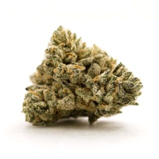 close-up of a frosty cannabis bud on a clean white background, showcasing dense green and purple tones with visible trichomes and orange pistils under soft, natural lighting